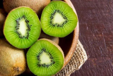 5 Manfaat Buah Kiwi yang Jarang Diketahui 