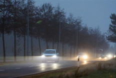 Wajib Diketahui, Ini Aturan Warna Lampu pada Mobil 