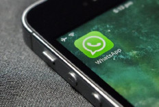 Ingin Merekam Panggilan WhatsApp? Berikut 4 Langkah yang Harus Dilakukan 