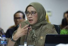 Tegas! Simak Instruksi MenPAN-RB soal PPPK Paruh Waktu
