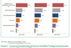  Bengkulu Didominasi Pekerja Lulusan Pendidikan Rendah, Diploma dan Sarjana Dominasi Pengangguran