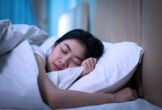 4 Jenis Herbal yang Ampuh Tingkatkan Kualitas Tidur 