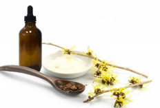Berbagai Manfaat Witch Hazel untuk Kesehatan