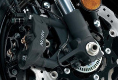 Simak Kelebihan  Petal Disc Brake Dibandingkan Rem Cakram Biasa