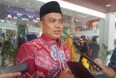 Disnakertrans Bengkulu Sebut 30 Persen Pencaker Job Fair Merah Putih Sudah Bekerja
