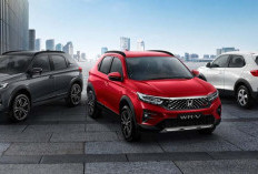Tampil Elegan dengan 6 Pilihan Warna: Honda WRV 2025 Buat Berkendara Lebih Aman