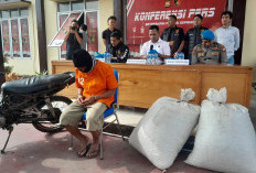 Jual Kopi Basah Curian Rp 700 Ribu, Polres Kepahiang: Pelaku Ngaku Uangnya untuk Beli Beras