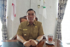 THL Kepahiang Dirumahkan, Ini Rencana Bupati Terpilih Zurdi Nata Tutupi Kekurangan SDM
