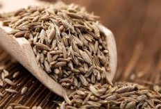 Redakan Asam Lambung dengan 3 Makanan Lezat Ini