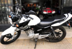  Scorpio Z Terlahir Kembali, Ini Motor Terbaru Yamaha YBR125C 
