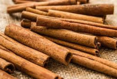 9 Manfaat Kayu Manis Bagi Kesehatan Tubuh: Nomor 3 Paling Mencengangkan