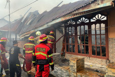 8 Rumah Warga di Sumur Meleleh Bengkulu Ludes Terbakar