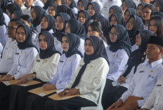 Simak Penjelasan KemenPAN-RB soal Honorer Otomatis Diangkat PPPK Paruh Waktu 