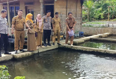 BUMDes Karya Muda Desa Karang Endah  Kembangkan Ikan Nila