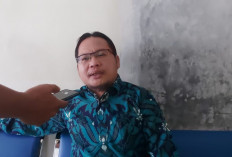 Pemkab Lebong Mulai Terapkan Aplikasi Srikandi, DPK Data OPD