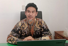 Sensus Ekonomi Kepahiang Dimulai 15 Juni, BPS Turunkan 164 Petugas!