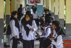  Lulus PPPK 2024, Honorer Kategori Ini Diarahkan jadi PPPK Paruh Waktu, Hmm!