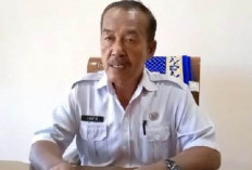 Status Lampu Kuning! Kasus Gigitan HPR Tembus Ratusan Kasus, Kepahiang Malah Alami Kekosongan Dokter Hewan