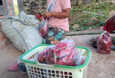 Harga Bumbu Dapur Mulai Naik Jelang Nataru