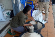 Harga Gabah dan Beras di Kabupaten Lebong Merangkak Naik
