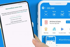 Nomor Akun DANA Hilang Atau Expired? Jangan Hawatir Ikuti Langkah Ini Untuk Memulihkannya