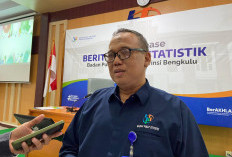 Kenaikan Harga Beras Dipengaruhi Supply dan Demand 