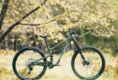 Sepeda Gunung Enduro: Keunikan dan Performanya Bikin Melongo
