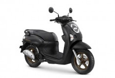 Fakta Honda Scoopy 2025: Kelebihan dan Kekurangan yang Perlu Diketahui Sebelum Membeli