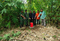  Topdam II Sriwijaya Ukur Tapal Batas Desa Permu Bawah 
