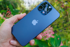 Kamera Iphone 17 Dikeluhkan Sering Berembun, Ini Penyabab dan Cara Mengatasinya