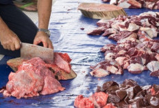  Bungkus Daging Kurban Disarankan Tidak Menggunakan Kantong Plastik Hitam