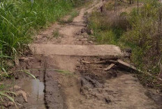 Rusak Parah! Begini Kondisi Jalan Dusun 4 Renah Balam, Sulitkan Warga yang Ingin Melahirkan