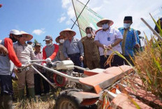 Bantuan Alsintan Pemprov Bengkulu Masih Proses Pengadaan