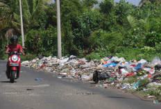 KNPI Kota Bengkulu Desak Penyelesaian Persoalan Sampah