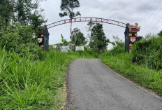 Gara-gara Ini Pemdes Suro Bali Kepahiang Terancam Lumpuh