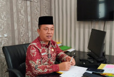Pemprov Bengkulu Siap Gelar Job Fit Pejabat Eselon II