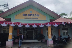 Hasil Sanggah 7 Peserta PPPK Tahap II Kabupaten Kepahiang: TMS atau MS?