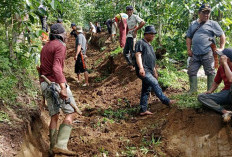 Pemdes Talang Tige Mulai Kerjakan Pembangunan Jalan