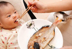 Cegah Stunting, Ibu Hamil dan Anak-anak Harus Banyak Makan Ikan