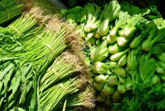 Rekomendasi Sayuran Hijau untuk Penuhi Nutrisi Harian 
