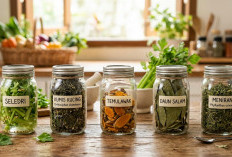 5 Ramuan Teruji Medis, Kadar Asam Urat Turun Tanpa Obat Kimia!