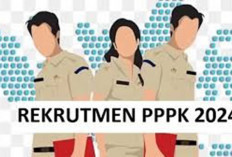 Setelah Diangkat PPPK, Segini Gaji yang Didapatkan per Bulan