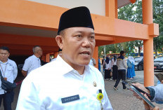  Ada Penambahan, Dinas Dikbud Bengkulu Data Penerima TPG dan Tamsil