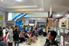 Ini 5 Provinsi di Indonesia yang Mengadakan Pemutihan Pajak Kendaraan: Manfaatkan dengan Baik Ya