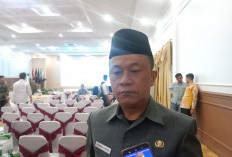BKD Provinsi Bengkulu Pastikan THL dan Honorer Terdata di Database