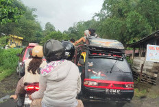 Jalan Objek Wisata Kebun Teh Kabawetan Kepahiang Rusak dan Sempit, Dikeluhkan Pengunjung yang Datang