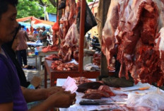  Di Bengkulu Tengah, Hadapi Ramadhan Harga Daging Stabil Rp 140 Ribu/Kilo 