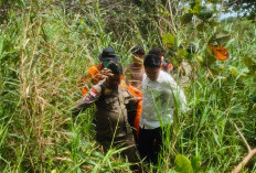 Mayat Tanpa Identitas Ditemukan di Kualo Pantai Panjang Bengkulu