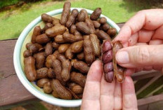 5 Manfaat Kacang Rebus untuk Kesehatan