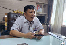 Masuk Bulan April, Tapi Baru 1 Paket Tayang Lelang